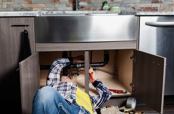 Best Local Plumber Services  in Carrollton, AL