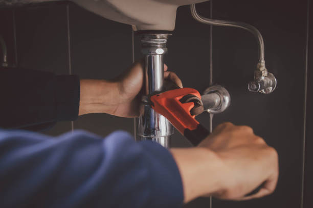 Best Leak Detection Services  in Carrollton, AL