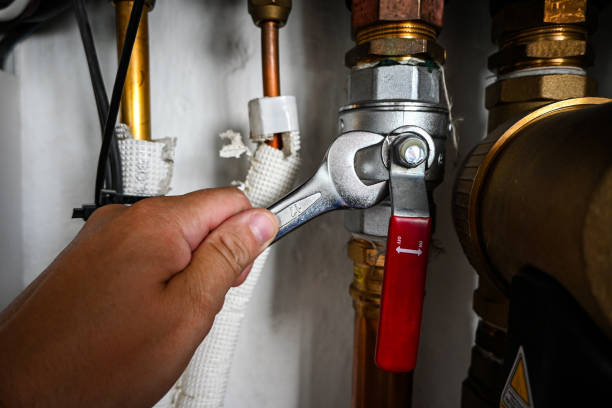 Best Sewer Line Repair  in Carrollton, AL